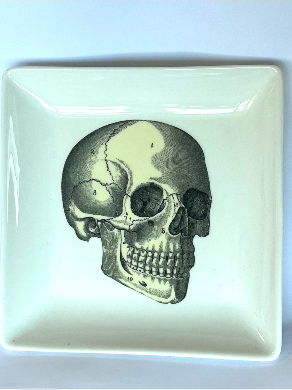 Skull Ring Dish Trinket Dish Ceramic Cream Yellow Black by Magpie